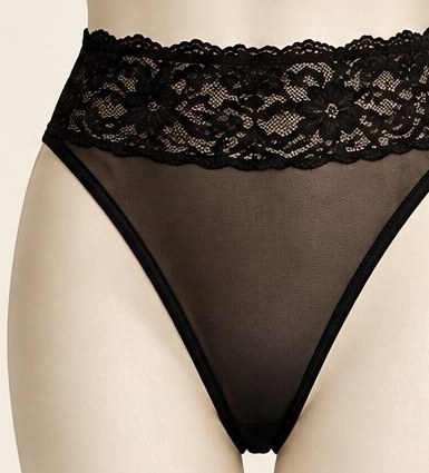 Midnight Mustang — black mesh high-cut brief with lace waistband